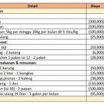 Catatan Keuangan Untuk Anak Kost