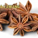 Masakan Nusantara Beraroma Rempah Alami