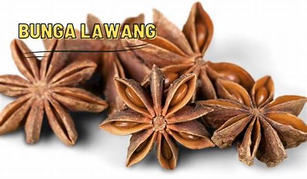 Masakan Nusantara Beraroma Rempah Alami