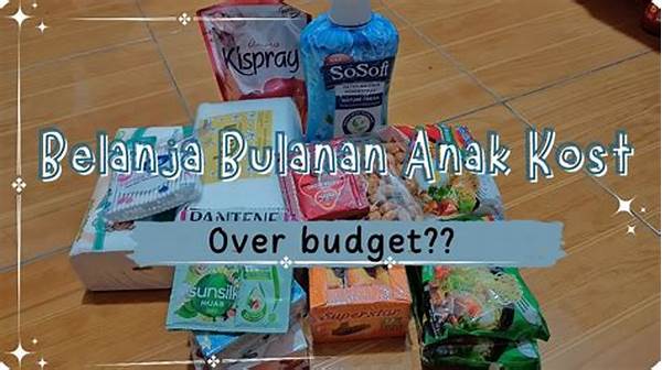 Panduan Belanja Bulanan Anak Kost