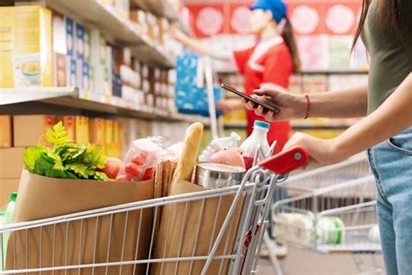 Strategi Efisien Kelola Belanja Bulanan