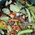 Strategi Pengelolaan Limbah Dapur