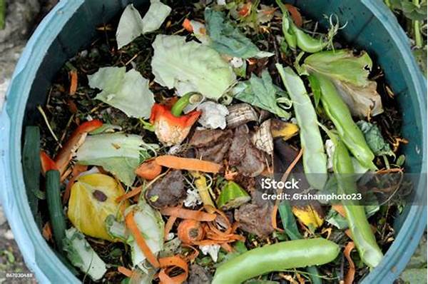 Strategi Pengelolaan Limbah Dapur