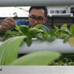 Trik Cerdas Mengoptimalkan Anggaran Yang Ada