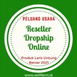 Usaha Reseller Produk Online Laris