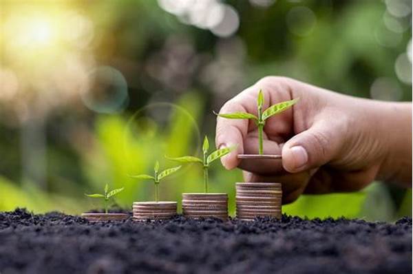 Investasi Aman Untuk Masa Depan