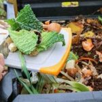 Pemanfaatan Kompos Dari Limbah Dapur