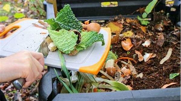 Pemanfaatan Kompos Dari Limbah Dapur