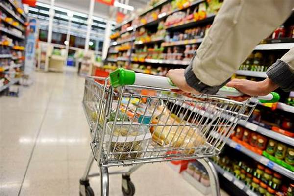 Cara Belanja Bahan Makanan Dengan Hemat