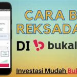 Panduan Lengkap Reksadana Pemula