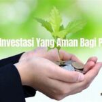 Cara Investasi Aman Bagi Pemula