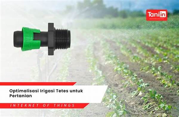 Implementasi Irigasi Tetes Pertanian