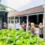 Kebun Komunitas Kampus Berkelanjutan