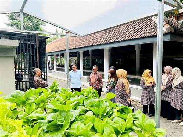 Kebun Komunitas Kampus Berkelanjutan
