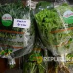 Sayur Buah Organik Untuk Hidup Sehat
