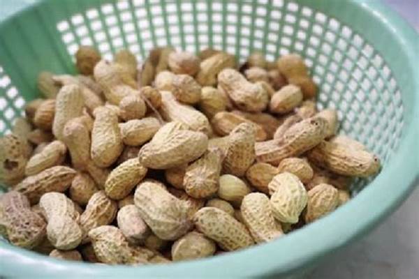 **kacang Mengontrol Gula Darah**