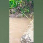 Sensasi Gurih Tiada Duanya