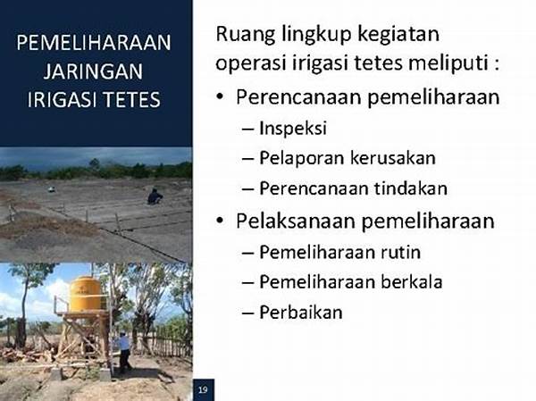 Pemeliharaan Rutin Irigasi Tetes