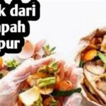 Pengurangan Sampah Dapur Organik