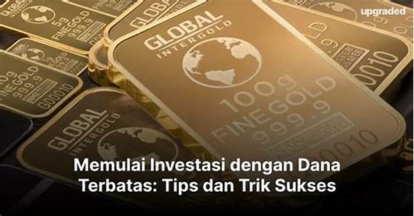 Pilihan Investasi Dana Terbatas